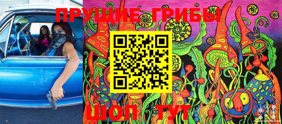Галлюциногенные грибы Magic Shrooms Избербаш