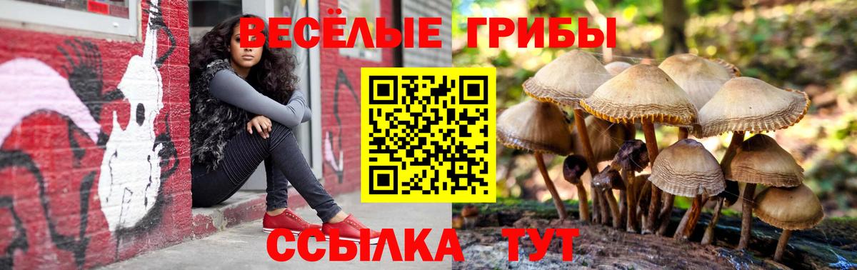 Избербаш  купить закладку  Галлюциногенные грибы ЛСД  Вход с VPN  Псилоцибиновые грибы прущие грибы 